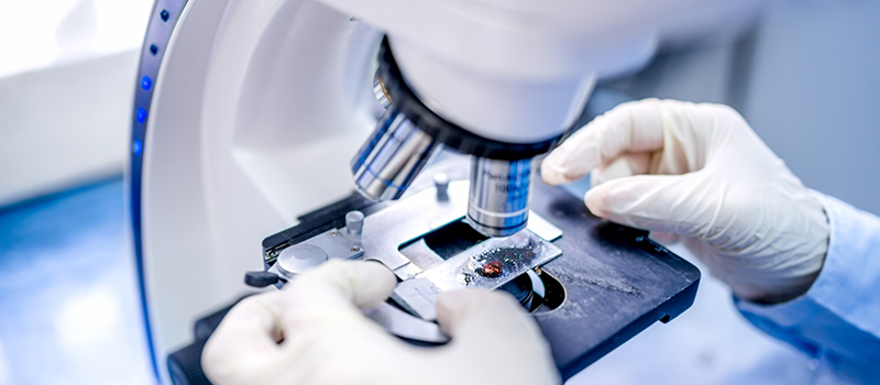 Master in Microbiology